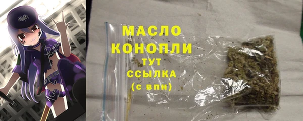 мдпв Михайлов