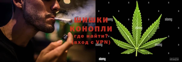 сатива Михайловка