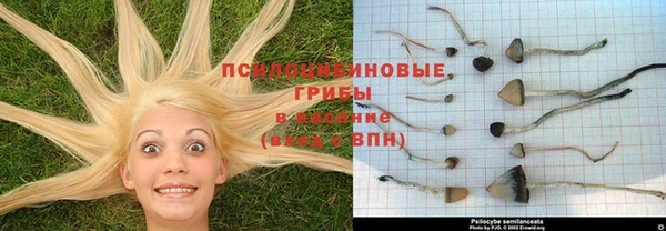 мдпв Михайлов