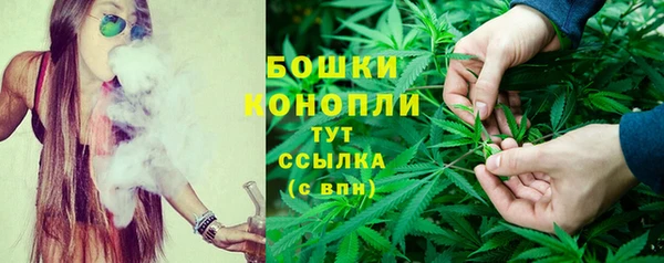 мдпв Михайлов