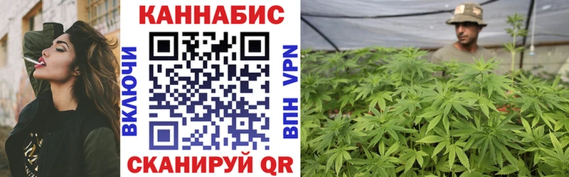 Конопля план Болхов